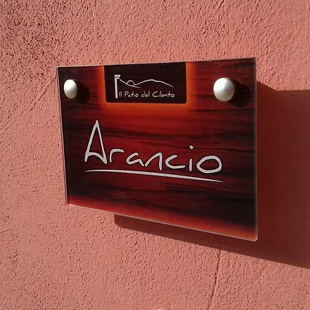 Apartamento Il Patio Del Cilento